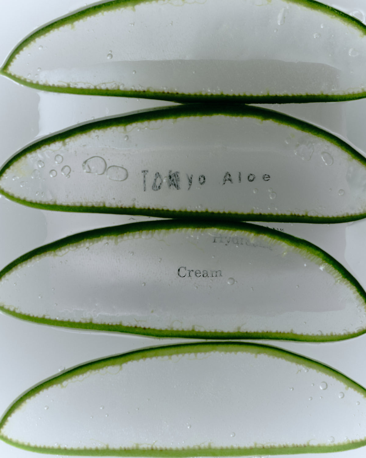 Aloe Hydrating Cream