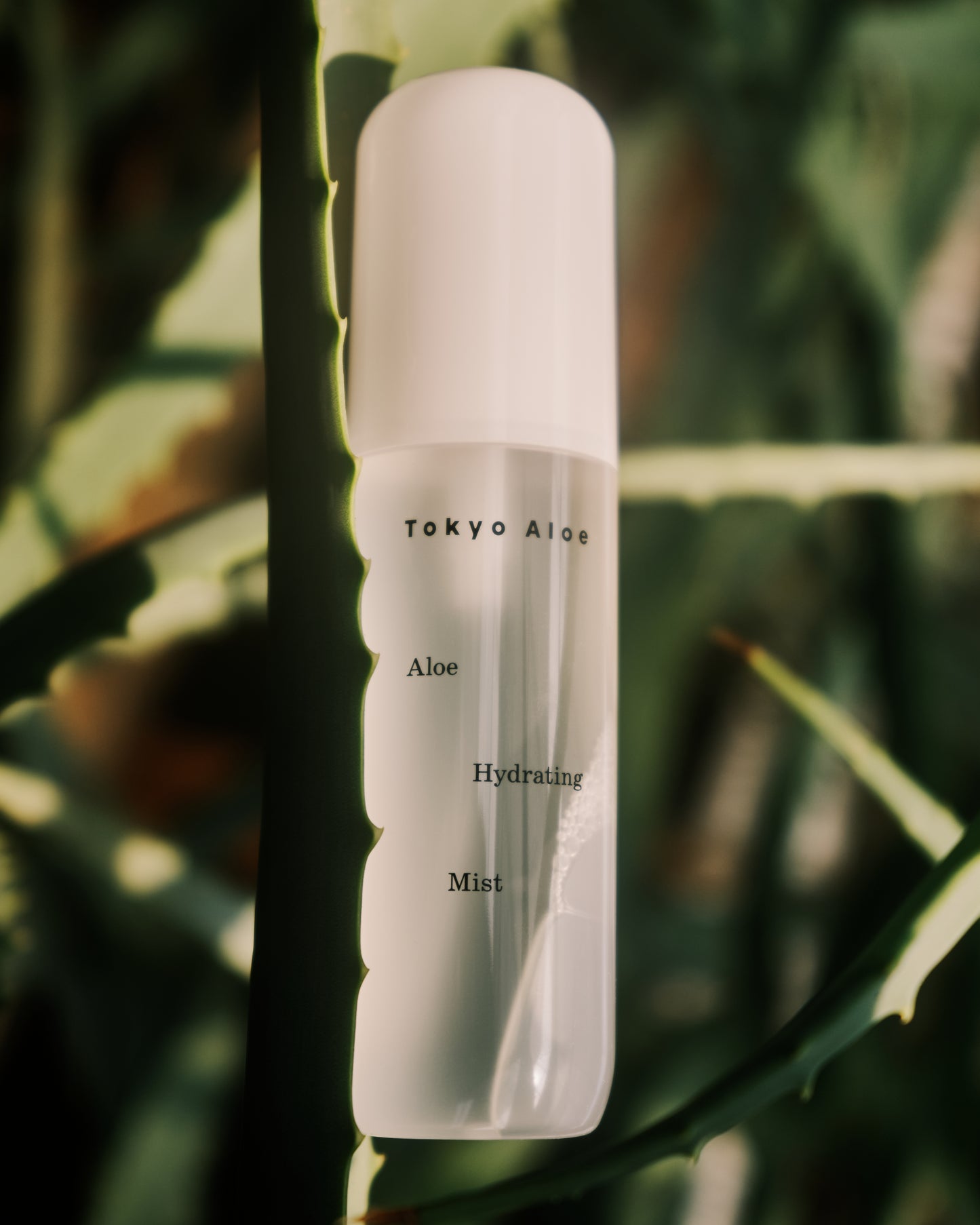 Aloe Hydrating Mist