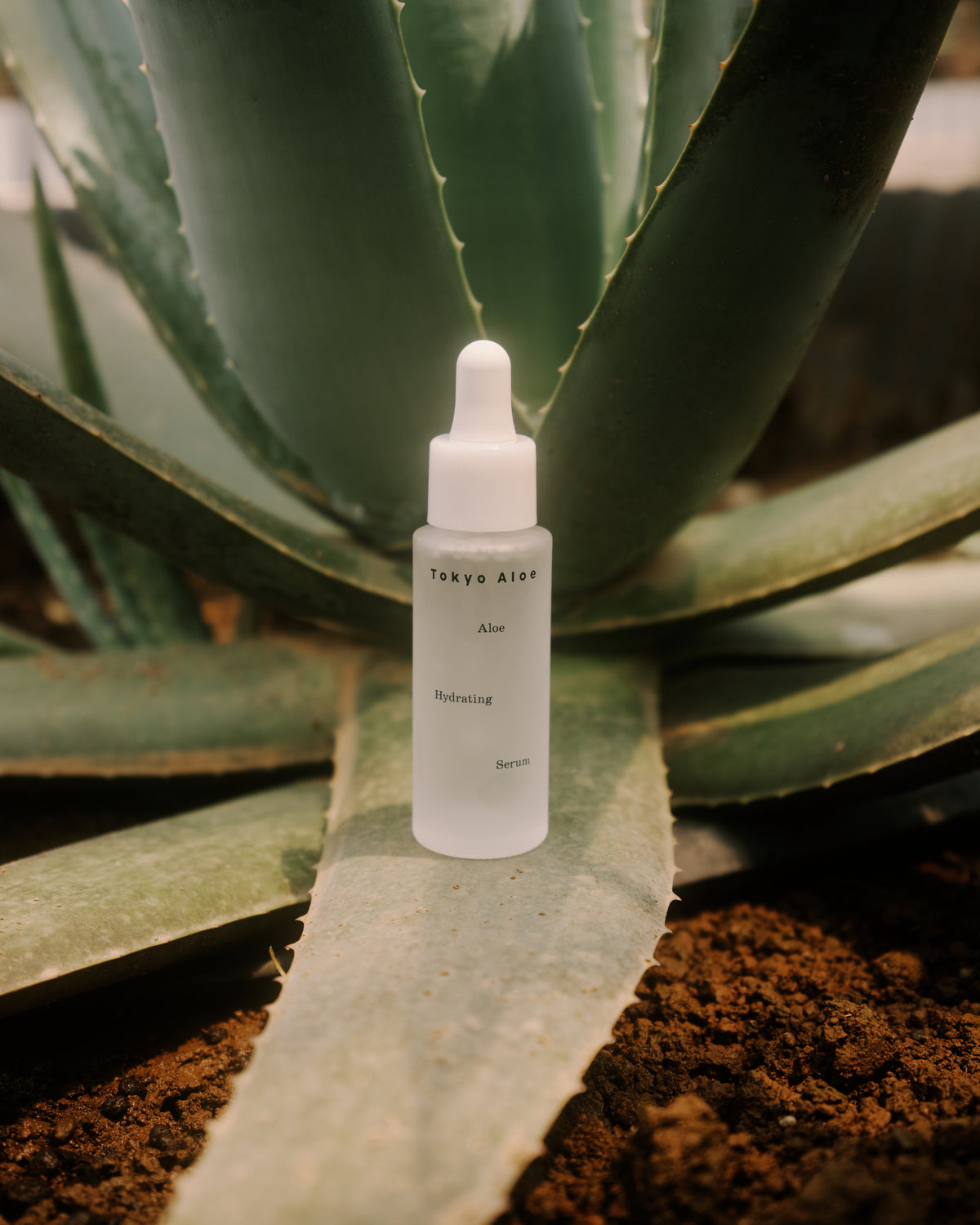 Aloe Hydrating Serum