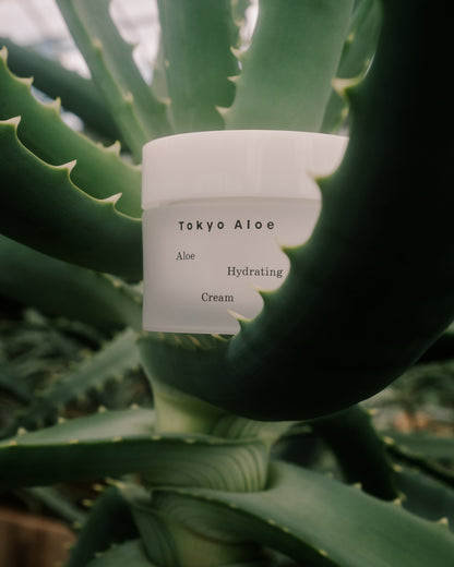 Aloe Hydrating Cream